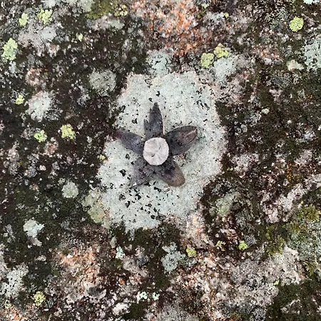 Grange Ardechoise Apartment Annonay